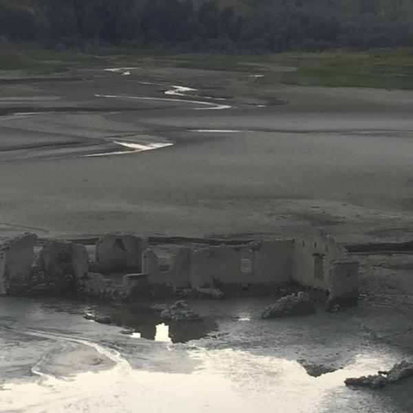 Anna Grazia De Flaviis